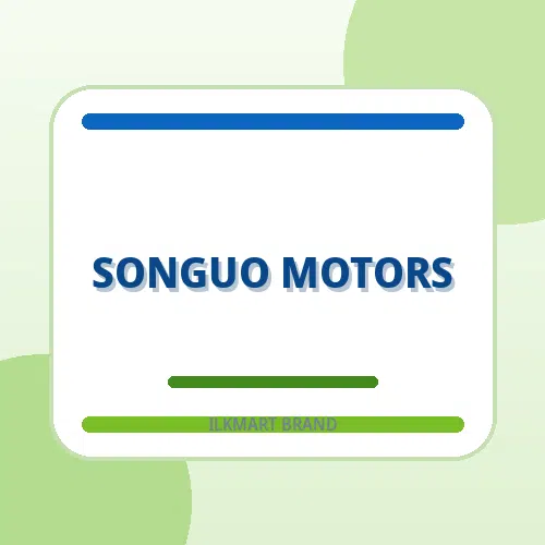 Songuo Motors brand image