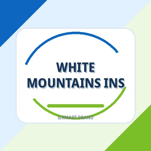 White Mountains Ins brand image